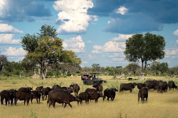 Okavango Delta, Botswana